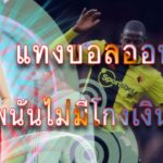 แทงบอลทุกวัน